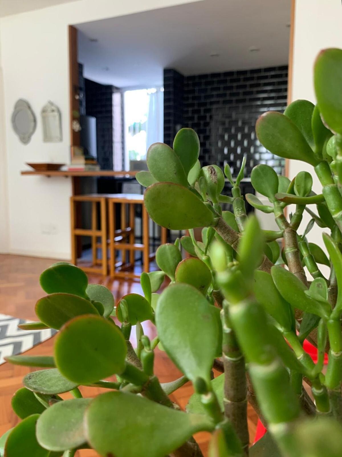 Em Solo Gavea Apartamento