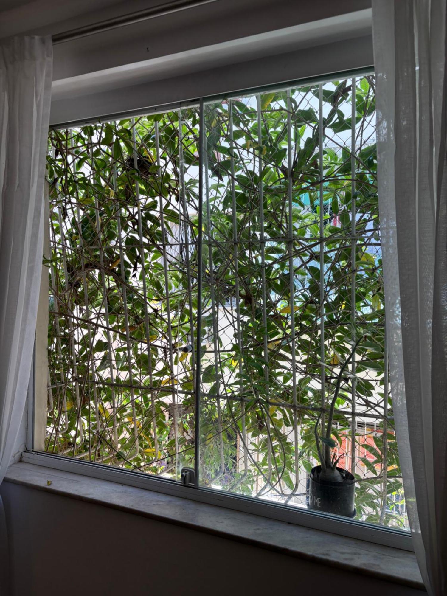 Apartamento Em Solo Gavea *